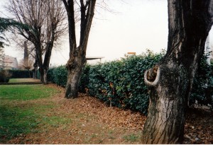 Prato2 95